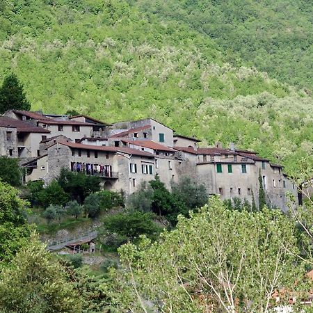 Agriturismo Mulino Del Castello Nasino Luaran gambar